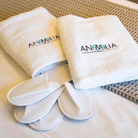 Anemelia Tatil Evi *