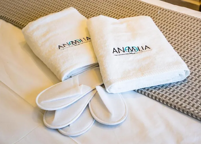 Anemelia Hébergement de vacances *